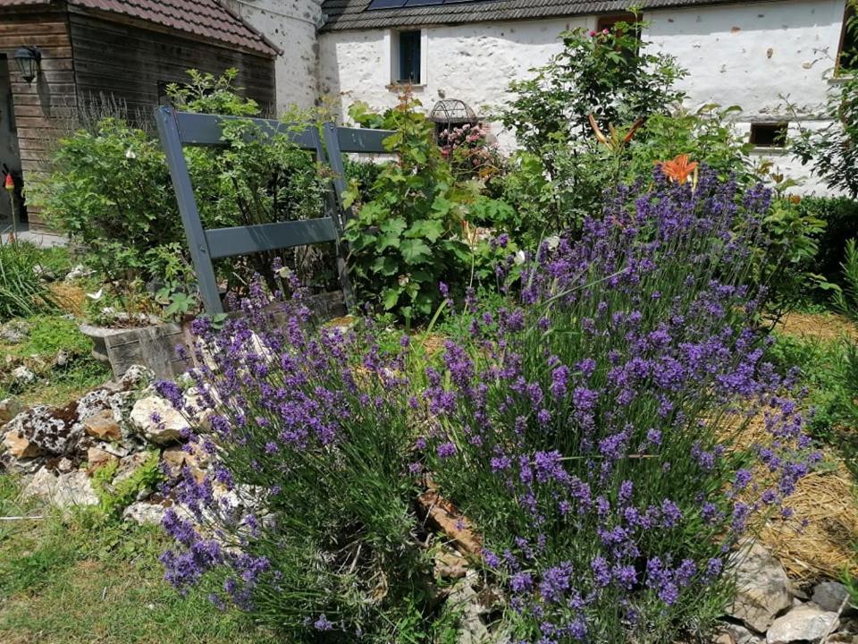 Hotellerie Jardiniers Gourmands Morsains Esterno foto