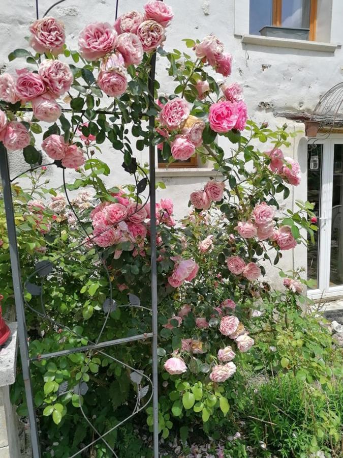 Hotellerie Jardiniers Gourmands Morsains Esterno foto